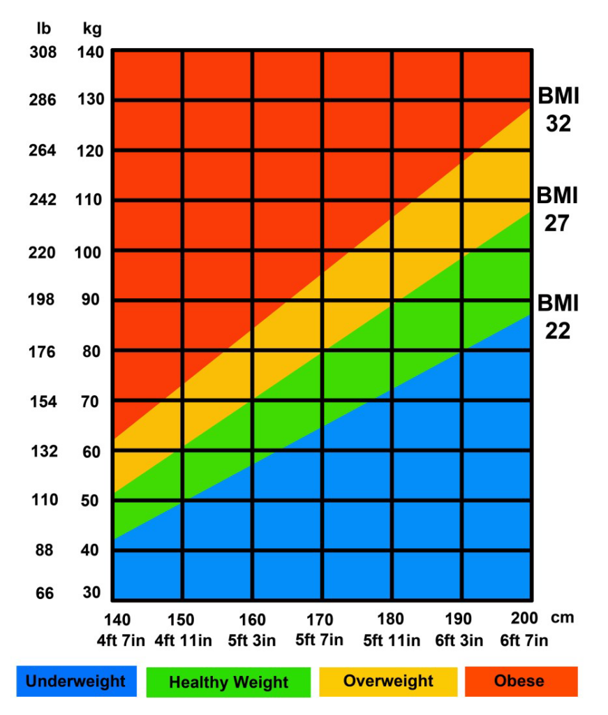 Understanding Healthy Weight and Body Shape | TAC Healthcare